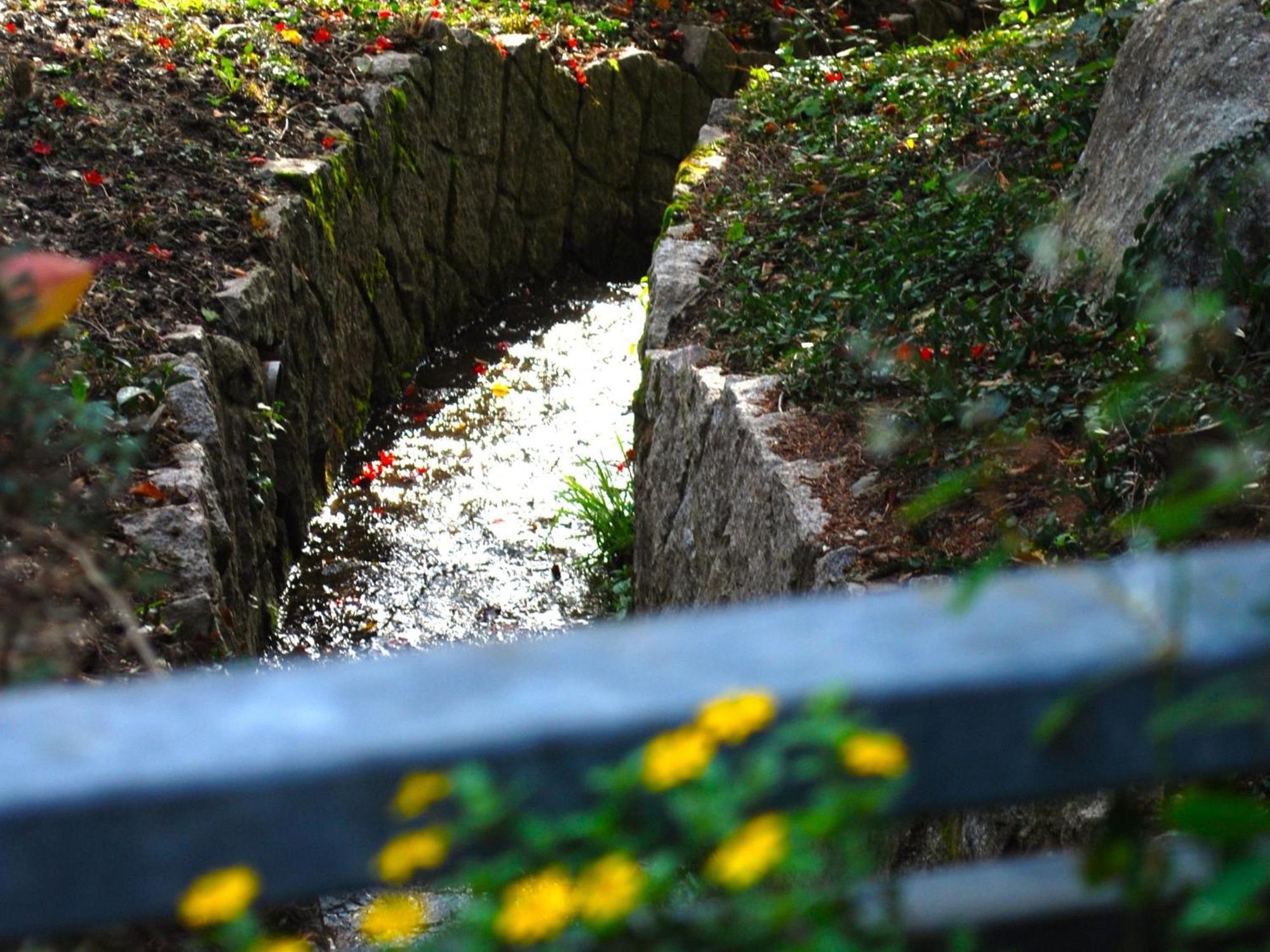 Ferienwohnung Wanderschoen ซัสบาควัลเดิน ภายนอก รูปภาพ