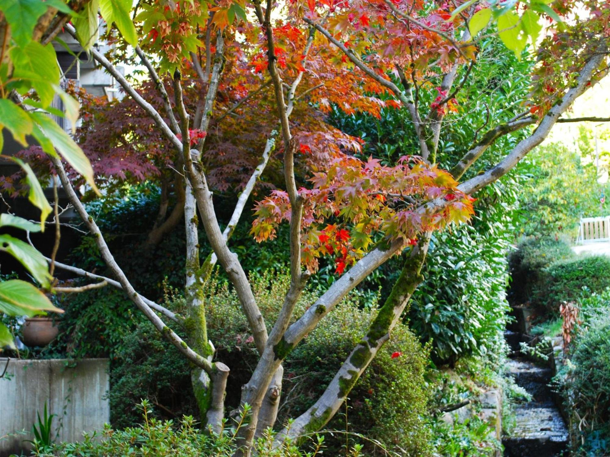 Ferienwohnung Wanderschoen ซัสบาควัลเดิน ภายนอก รูปภาพ