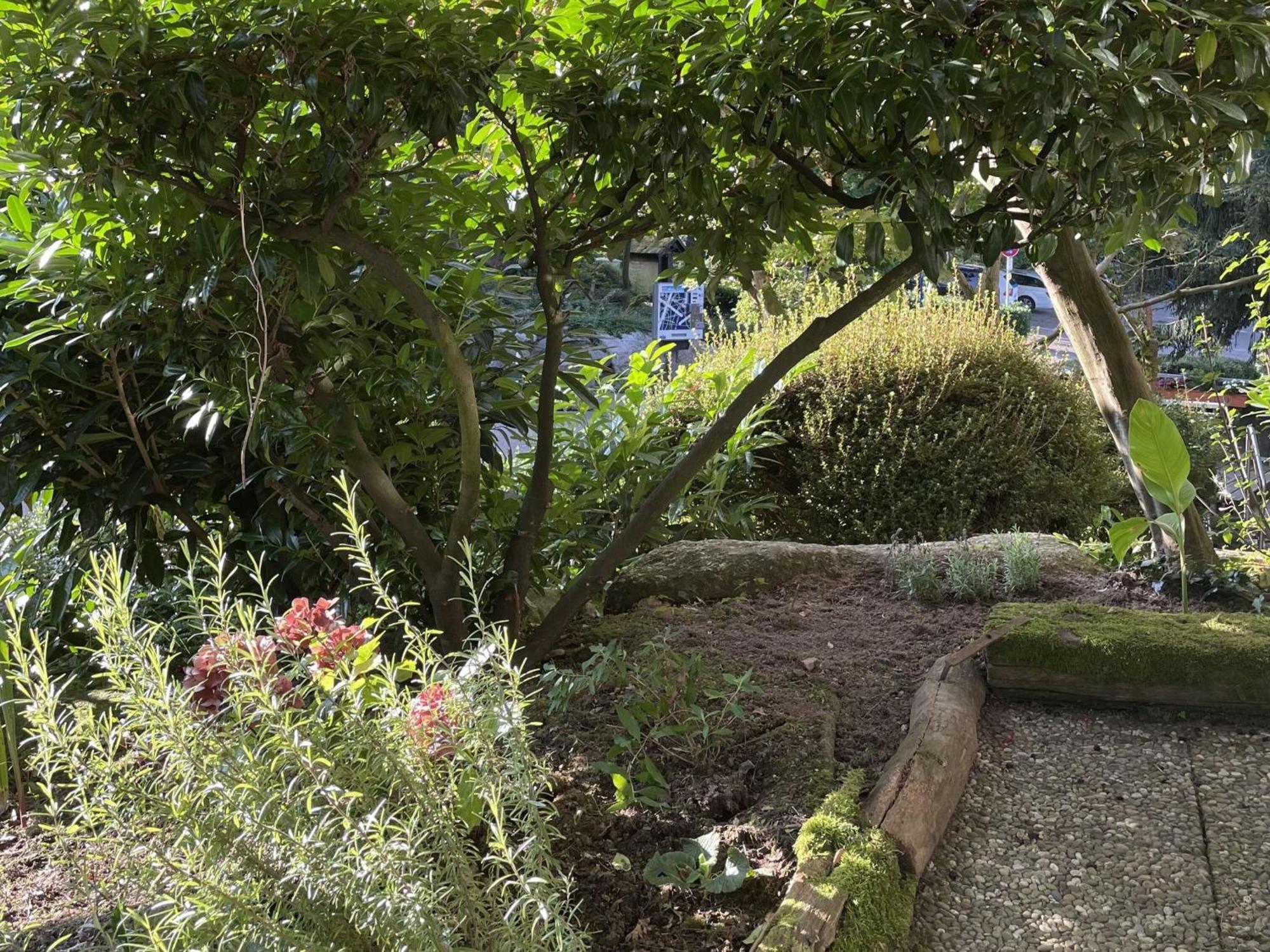 Ferienwohnung Wanderschoen ซัสบาควัลเดิน ภายนอก รูปภาพ